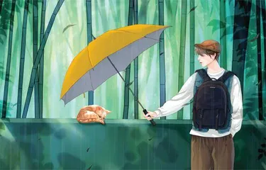 猫与少年