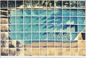大卫·霍克尼:“我只想画画”4