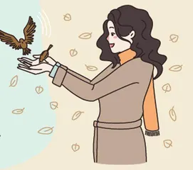 简单的鸟