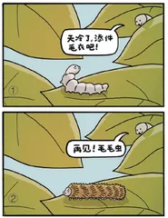 幽默与漫画