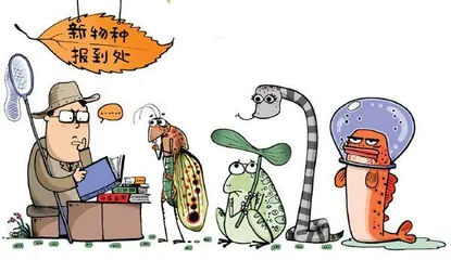 给新物种起个好名字，都有哪些“套路”