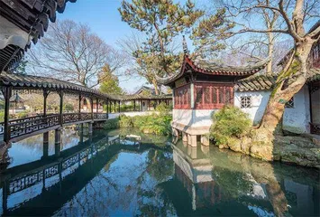 曲直相生：艺术与人生的美妙碰撞