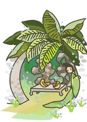芭蕉织布做夏衣