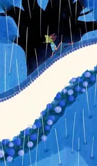 永远是夏天