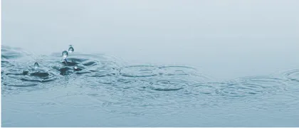 静水流深蕴光华
