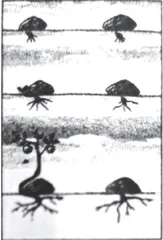生命的“突围”