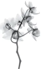 存在