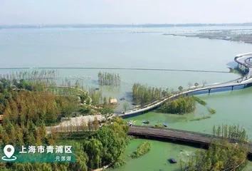 有一种城市,叫上海1