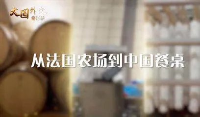 好创意点亮好产品 新表达感受新故事2