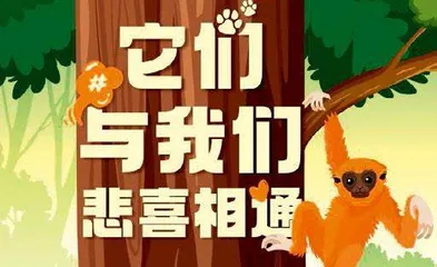 好创意点亮好产品 新表达感受新故事5