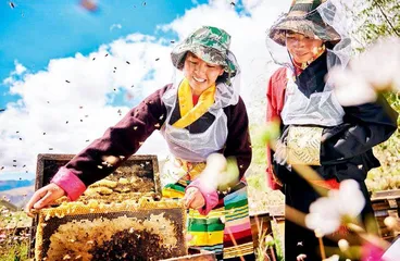 西藏,这里不仅有诗和远方!1