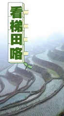 “文化+”解锁流量密码,“湘”当有为!1