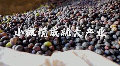 发挥融合优势，讲好进博故事5