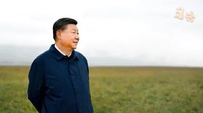 系列视频：习语