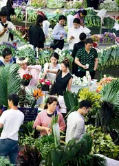 从“一枝花”到“亿枝花”