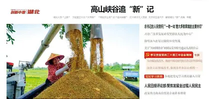 高山峡谷追“新”记