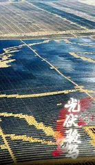 以绿为底色,内蒙古绘就生态蓝图2