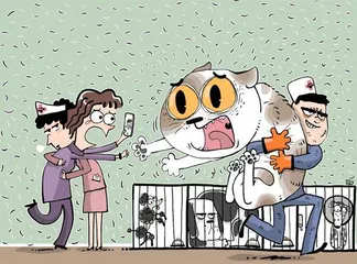 我那当上完美兽医的路