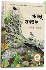 植物的“鲸落”，生命的礼赞