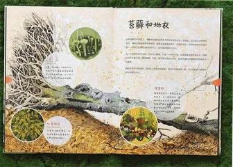 植物的“鲸落”，生命的礼赞1