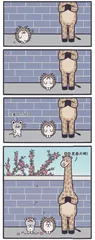 幽默与漫画