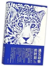 在这里遇见动物