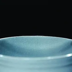 瓷器里的中国色2