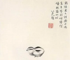 浓缩的都是精华1