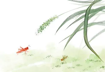不急于拥有