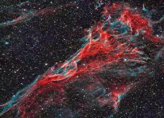 两位少年的“追星”之旅3