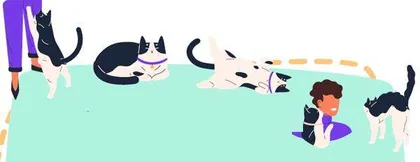 猫知道自己的名字，还知道你的