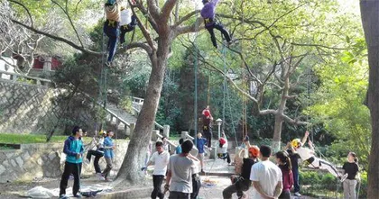 大学的树怎么爬