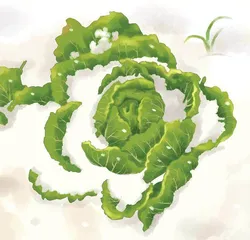 我怀念那些又冷又暖的冬天