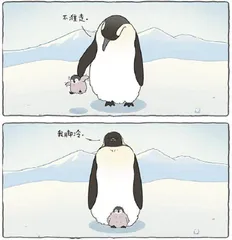 漫画与幽默5
