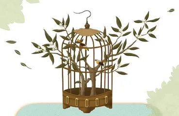 笼子寻鸟