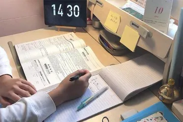 学习博主让人学会学习2