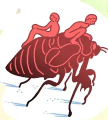 戛然而止的蝉鸣