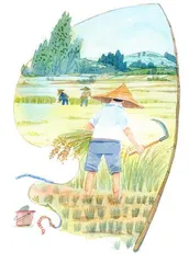 夏天留给我一道暗语