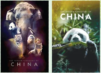 与你们同一个世界，是我们的运气