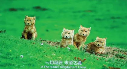 与你们同一个世界,是我们的运气1