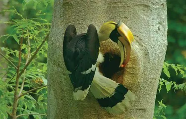 与你们同一个世界,是我们的运气3