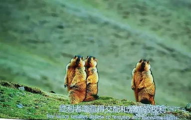 与你们同一个世界，是我们的运气4