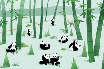 养一只大熊猫要花多少钱