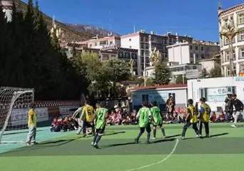 我在乡村教足球2