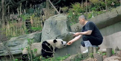 花花和爷爷
