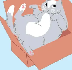 如何优雅地测量一只猫的体积