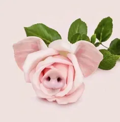 创意