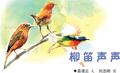 柳笛声声