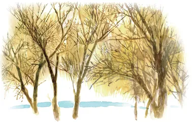 柳笛声声1