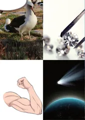 等